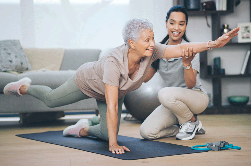 Programs for Physical Health Support